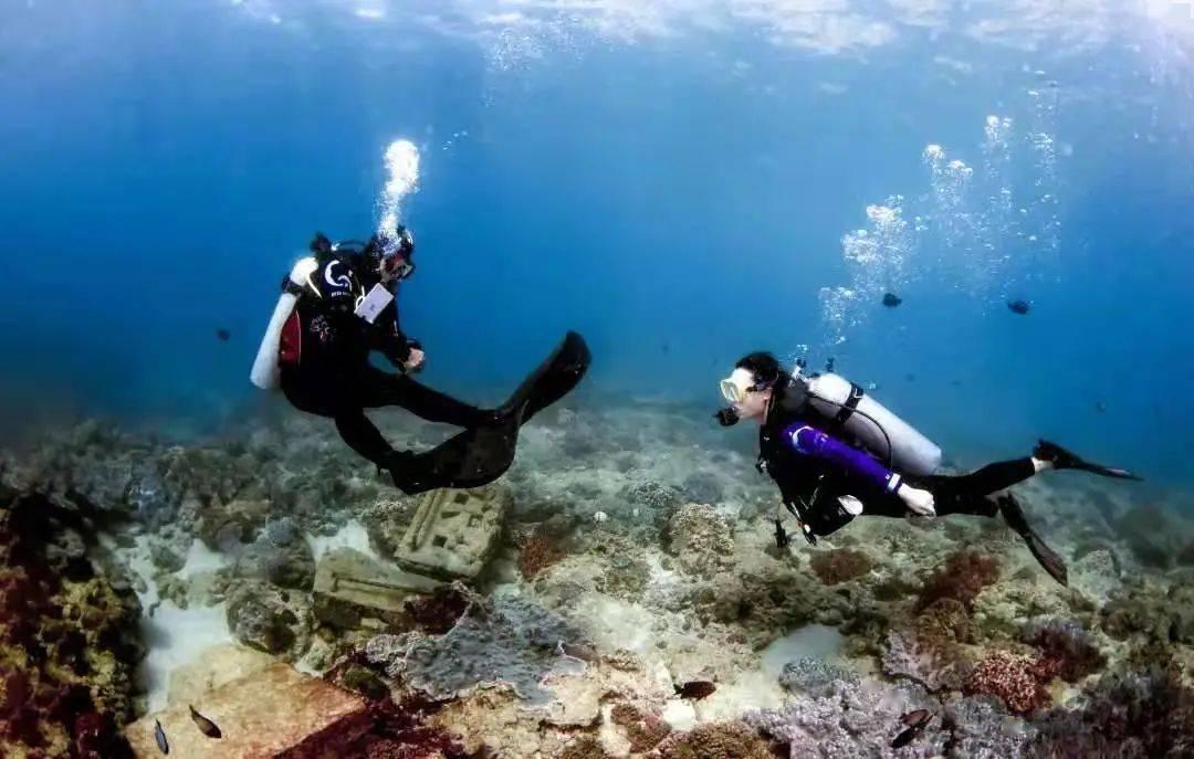 失忆的流浪者